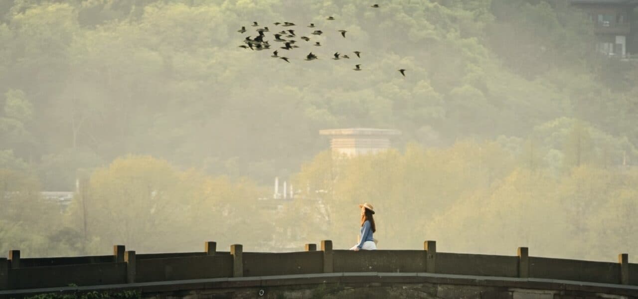 Gongchen Bridge in Hangzhou: the stone arch spanning the canal, with trees and whitewashed houses on both banks