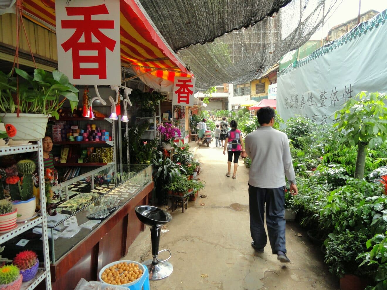 Plant and flower stalls at a Kunming flower-and-bird market: potted plants and cut flowers line the lane beneath signs and greenery