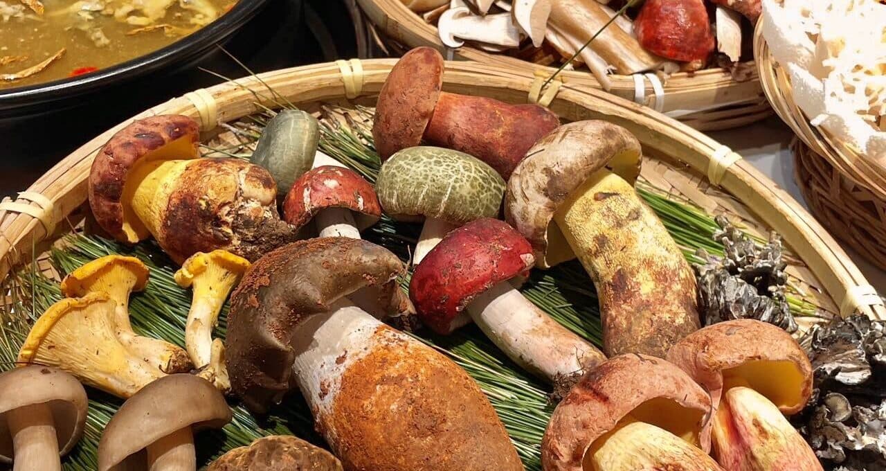 A woven basket heaped with fresh wild mushrooms—boletes, chanterelles and more—beside bowls of soup