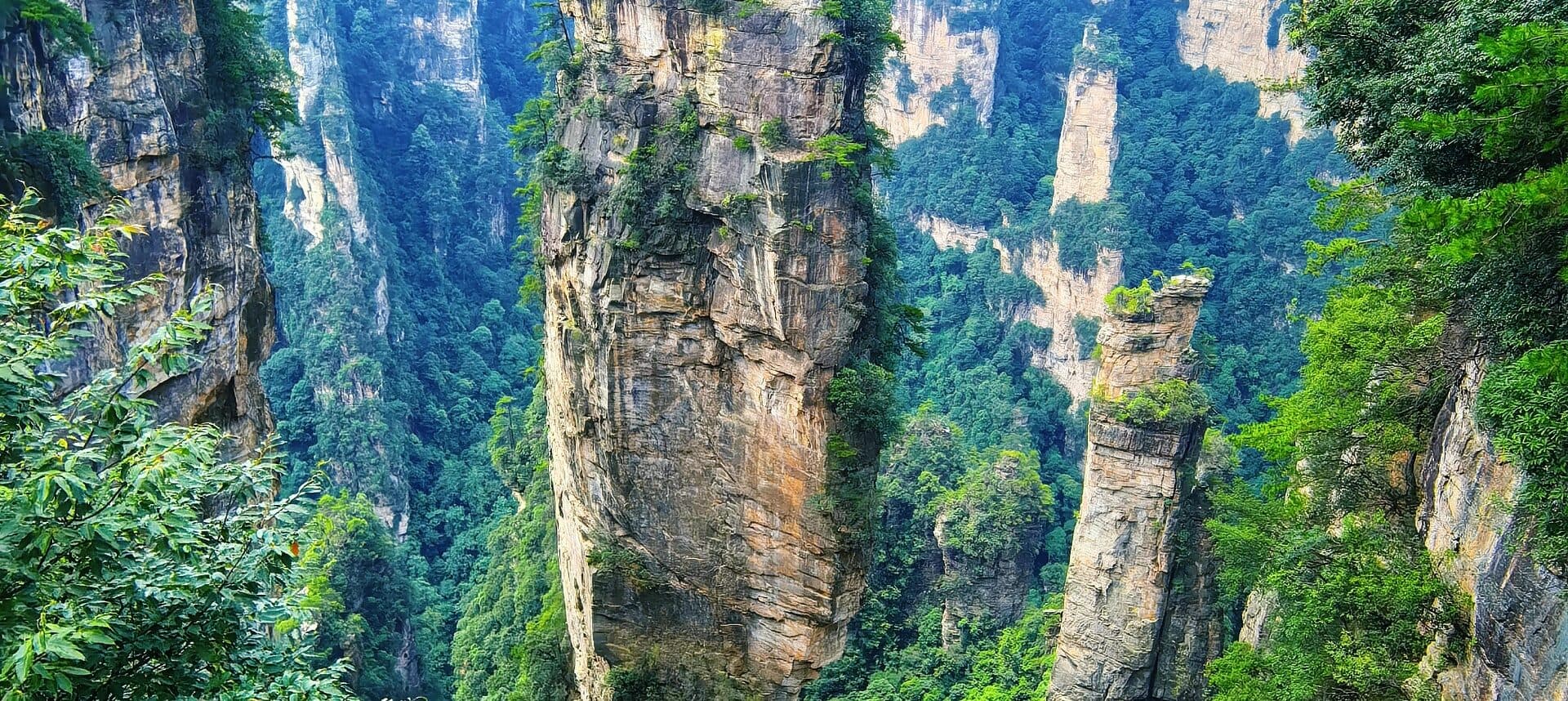 Dense sandstone pillar forest in the Zhangjiajie park