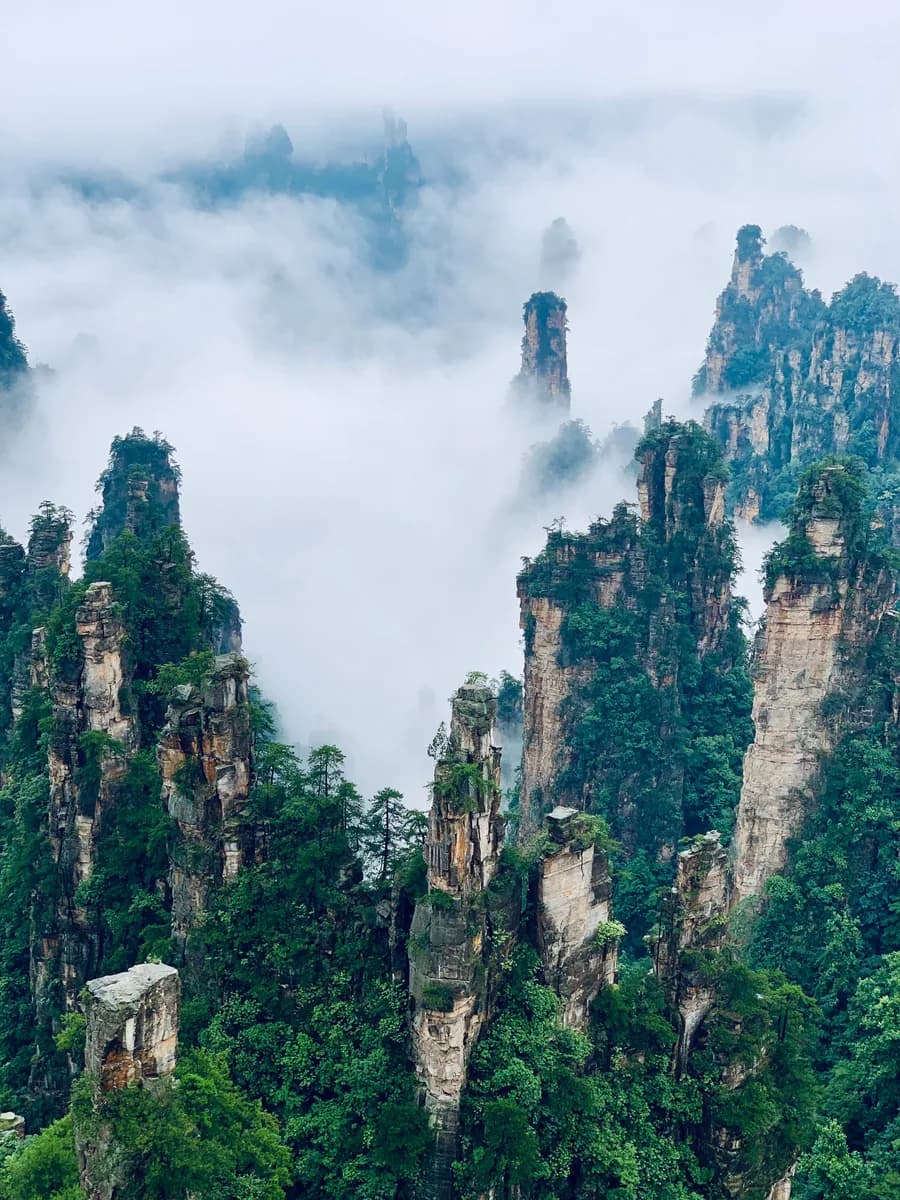 Sandstone peaks of Zhangjiajie above forested valleys and cloud