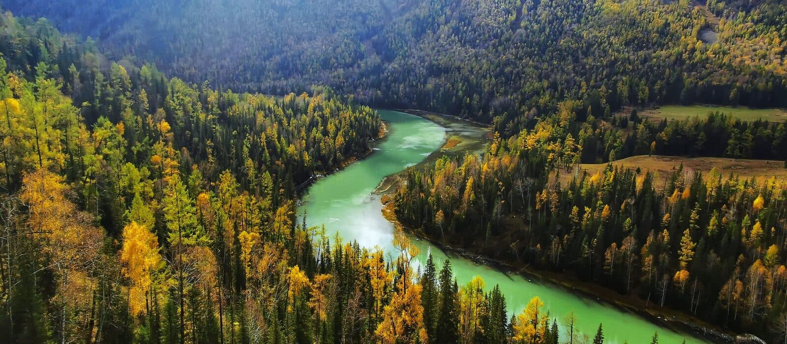 The winding Altay River through autumn forest, seen from above