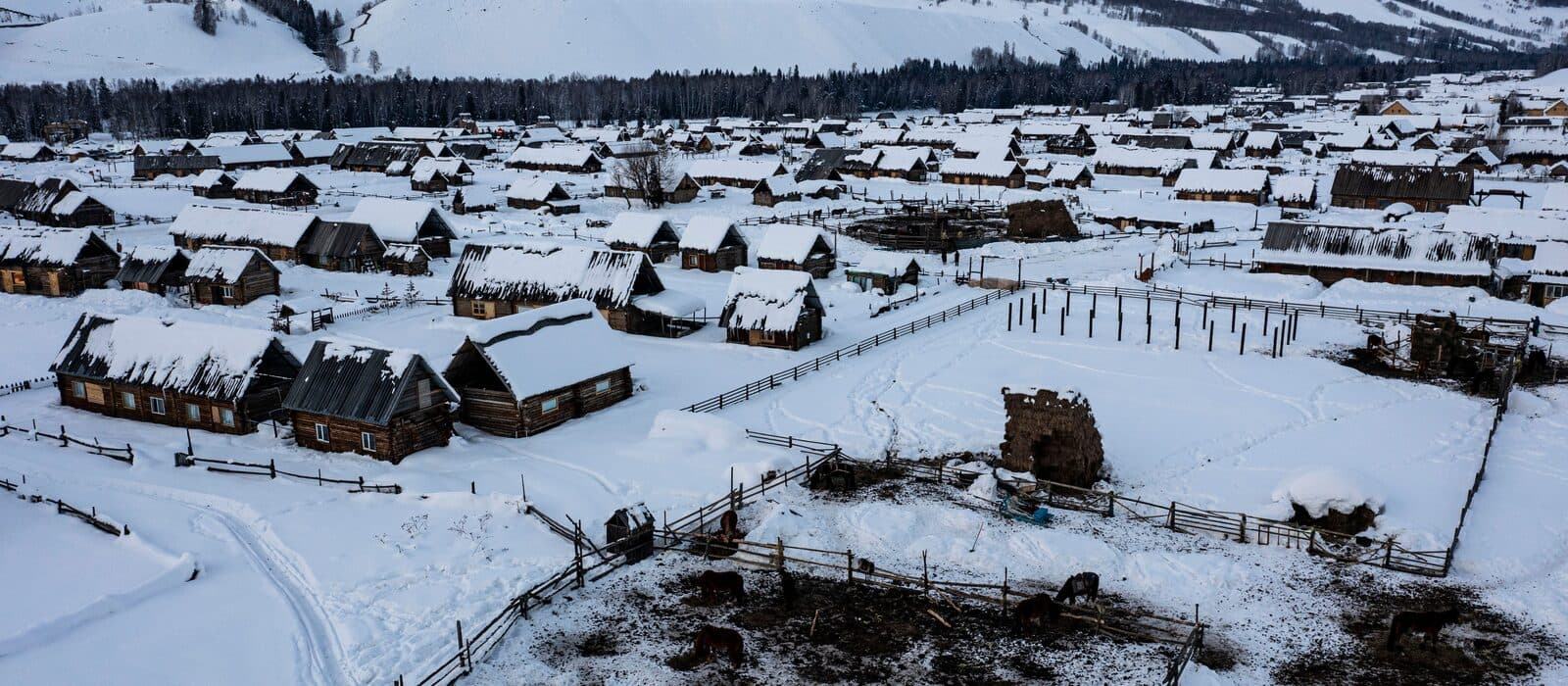 A snow-covered Altay village of log houses and fenced pens below forested slopes