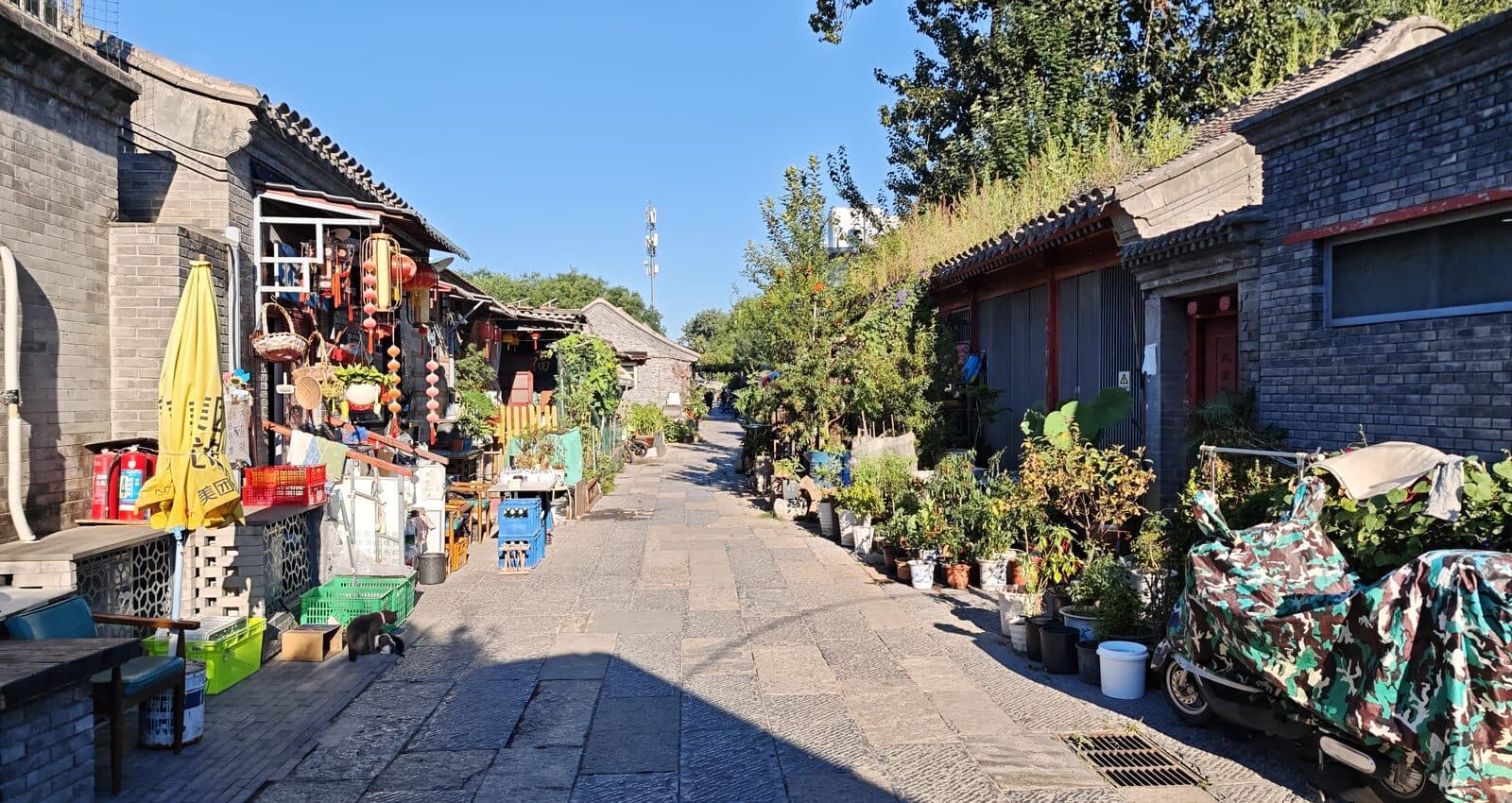 A Beijing hutong in daylight, with grey brick courtyard walls, potted plants, and small shops along the paved lane