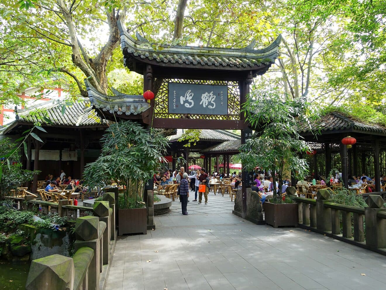 The old teahouse in Chengdu's People's Park: bamboo chairs and tea tables under the eaves, guests around their lidded cups