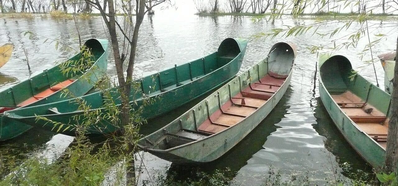 Erhai's northern shore: small wooden boats moored among trees at the water's edge