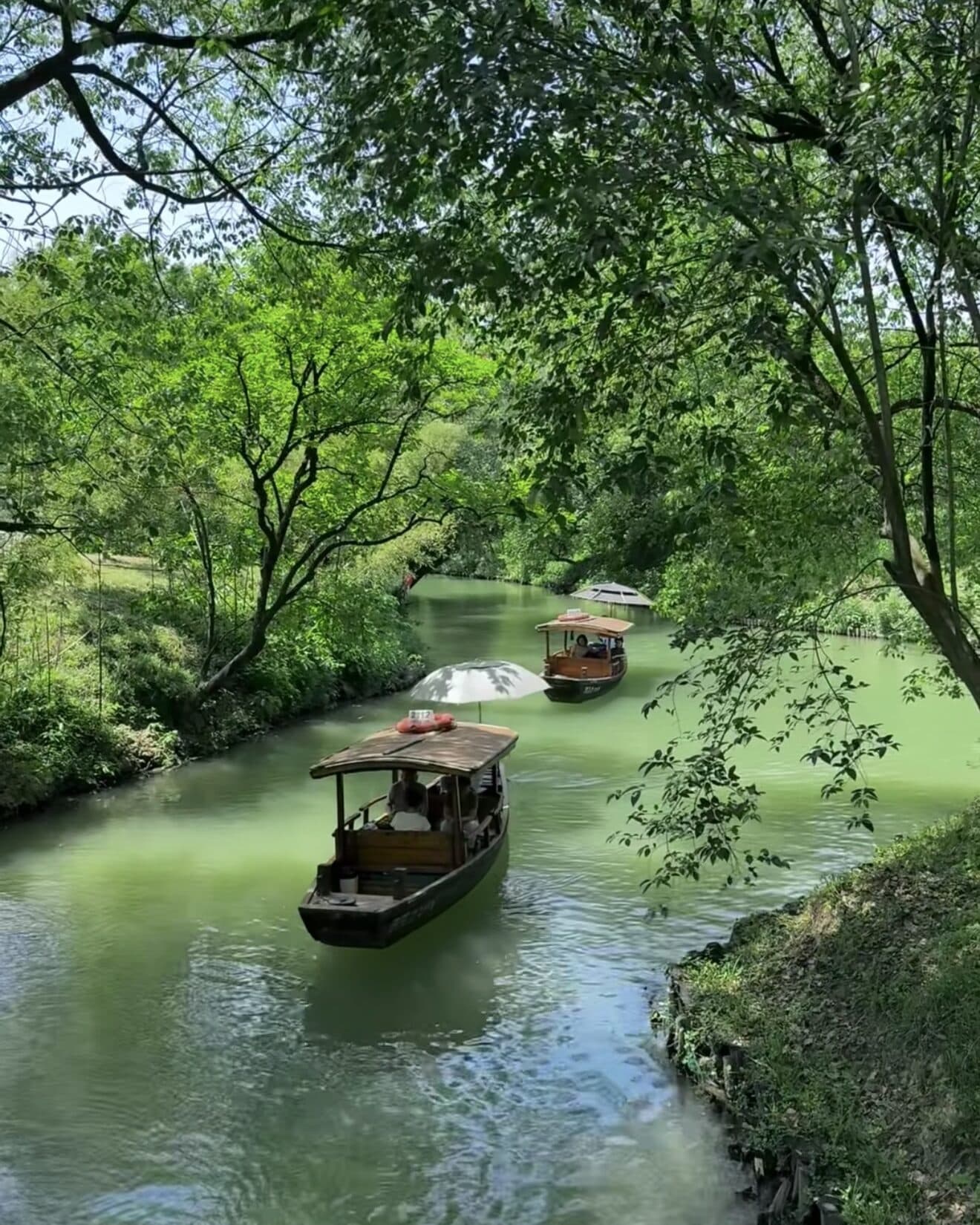 A small boat and its boatman on a tree-lined canal, duckweed and reflections on the water