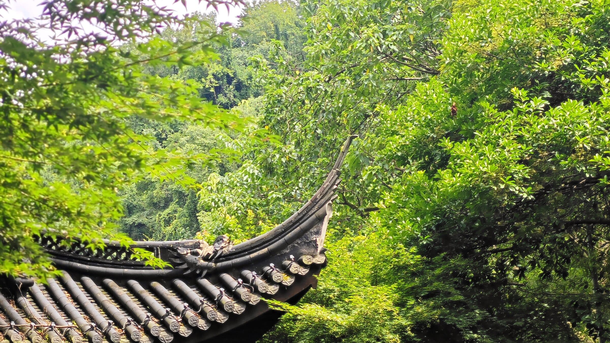 A grey tiled eave among dense woods in the Lingyin area