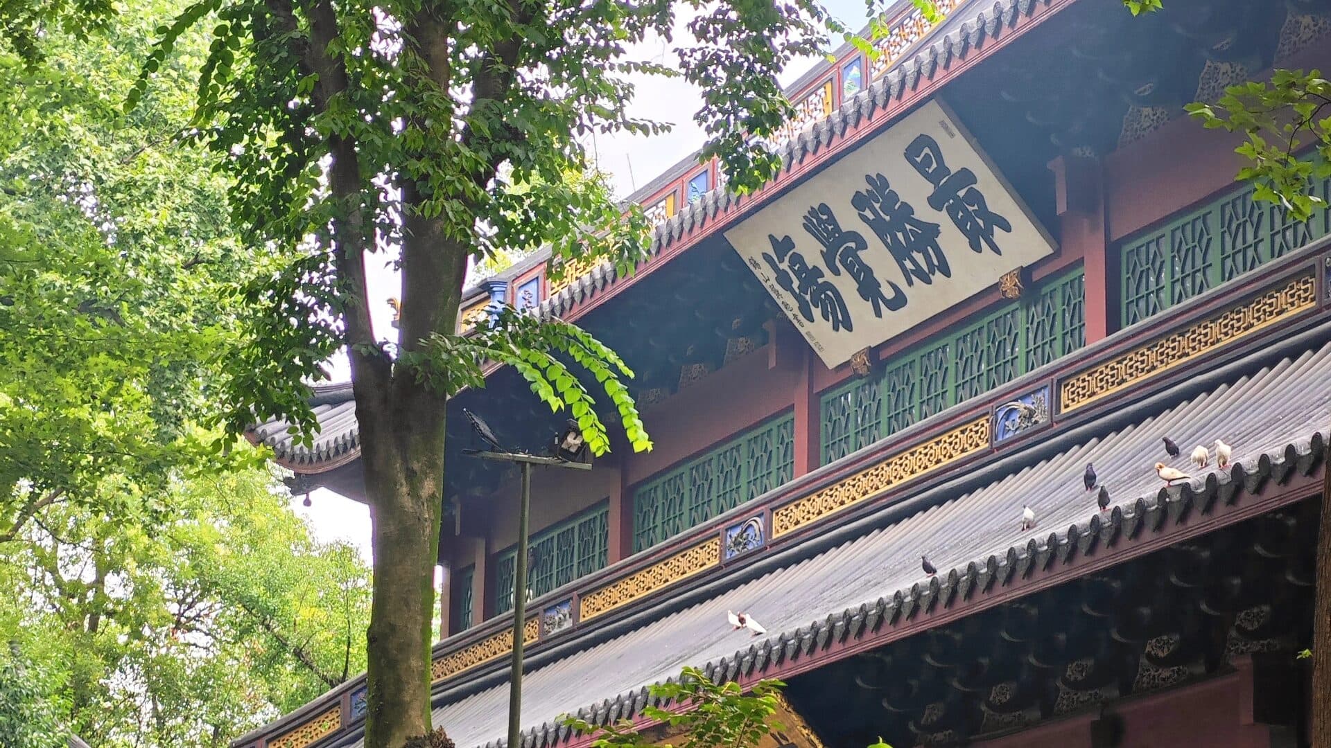 A dark plaque with gold characters under a temple hall's painted eaves, with green trees around