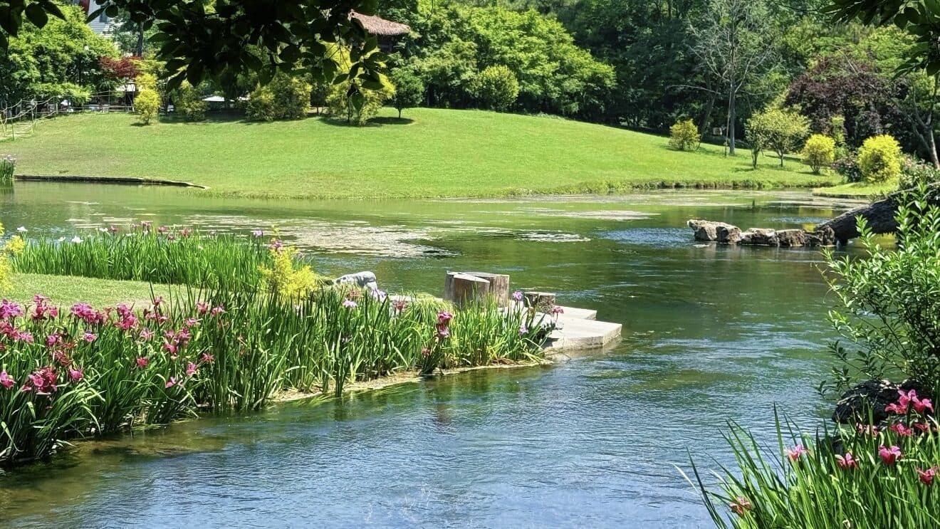 A garden waterway with irises at the water's edge, lawns and trees