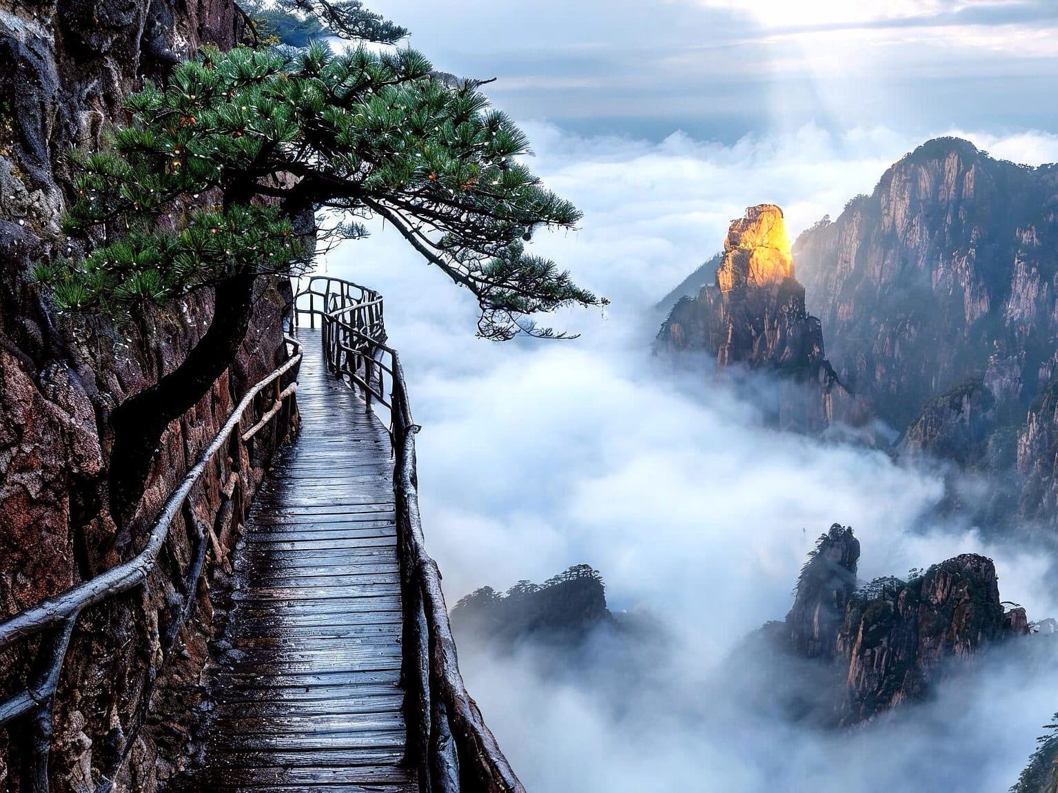 A wooden walkway along a Huangshan cliff beneath a pine, with a cloud sea and sunlit rock peaks beyond