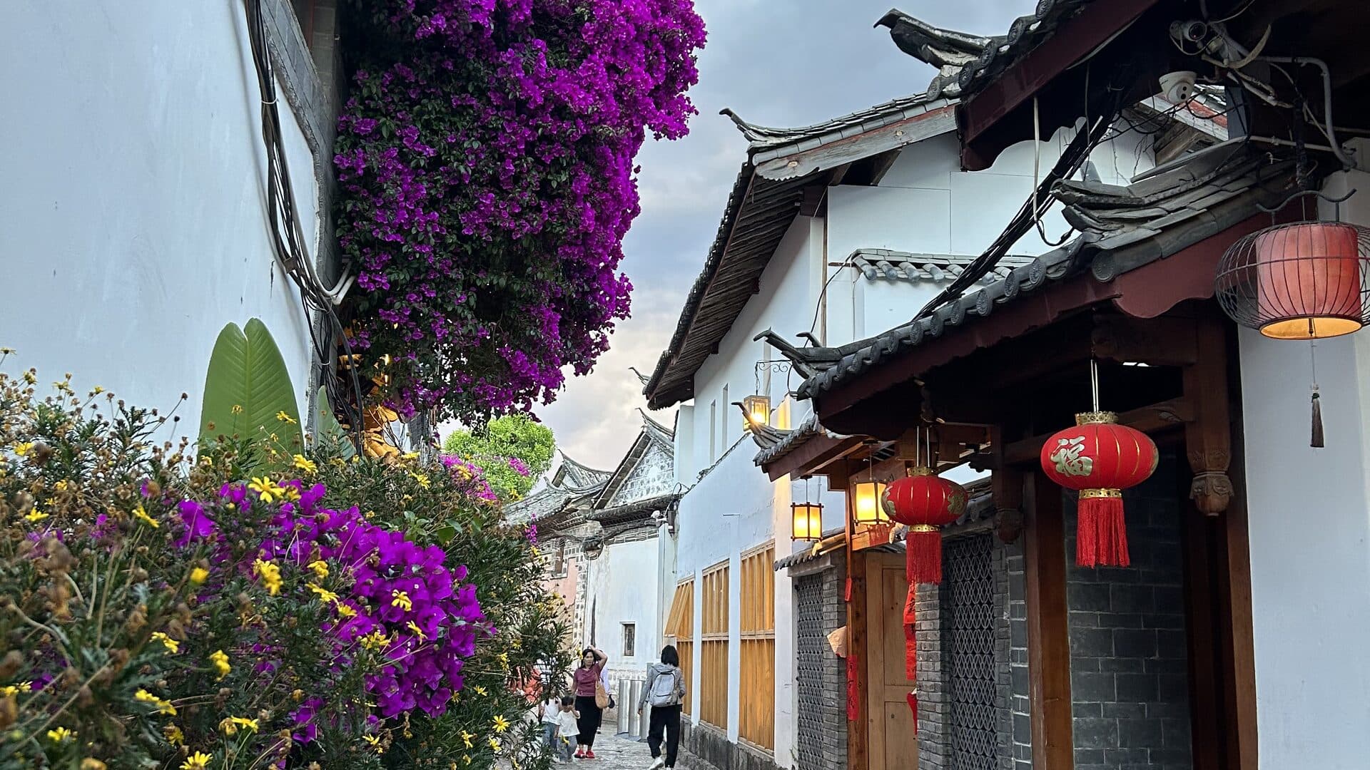A side lane in Lijiang old town: white walls, grey tiles and timber lattice windows with bougainvillea spilling over, the stone lane running in