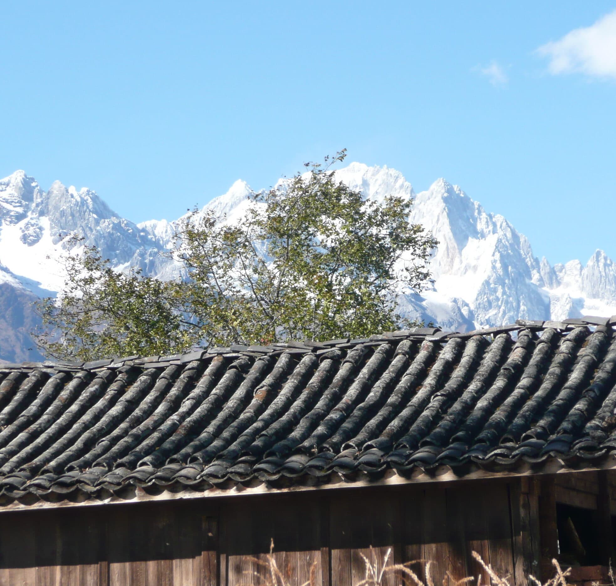 Jade Dragon Snow Mountain rising behind the tiled roofs of a Lijiang building, snowfields and bare rock above the tree line with cloud at mid-height