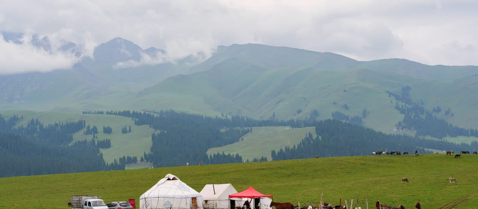 Yurts on open grassland below snow-capped mountains