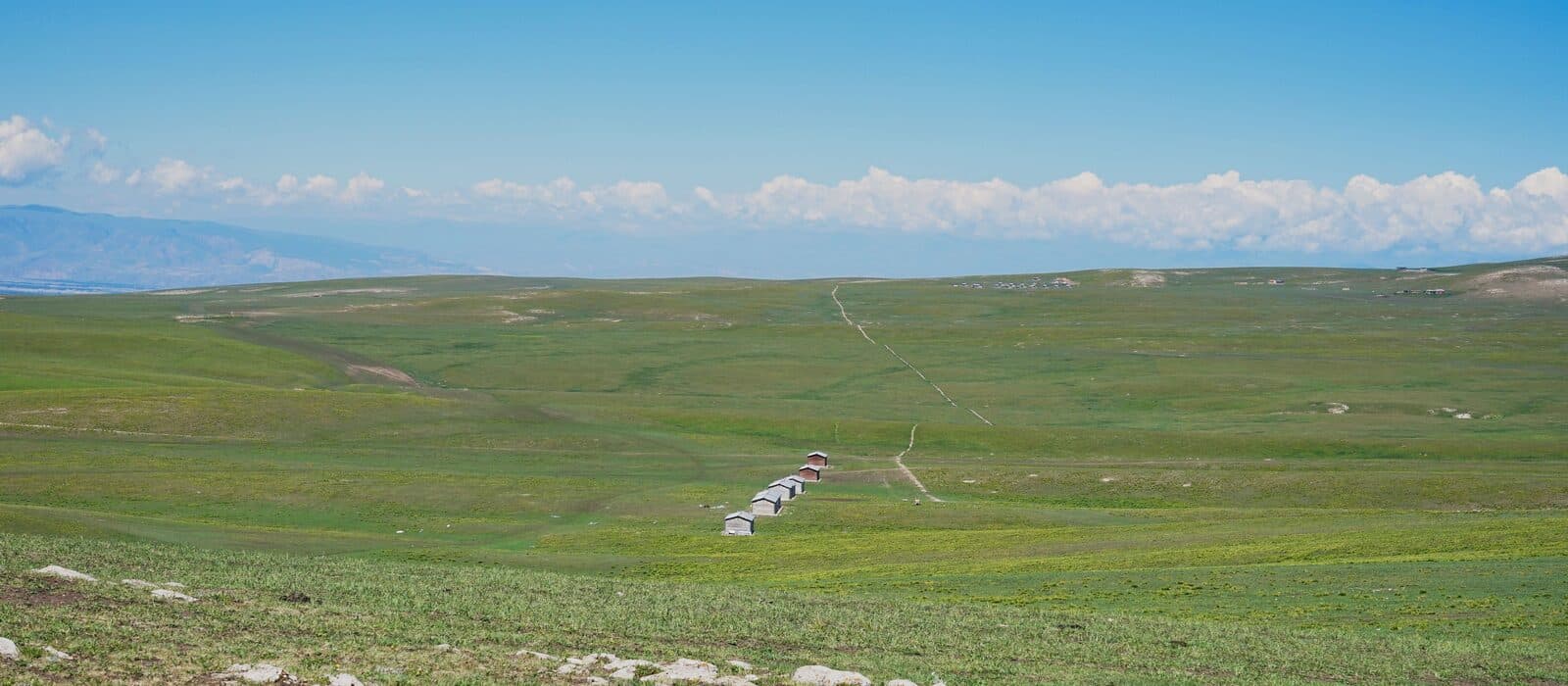 A green steppe with a line of small white cabins below distant mountains