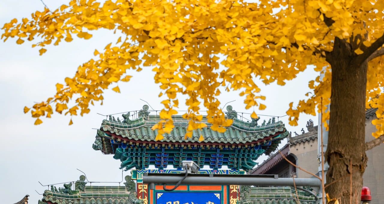 A glazed-tile archway and old street in the Shuyuanmen area, with golden ginkgo above