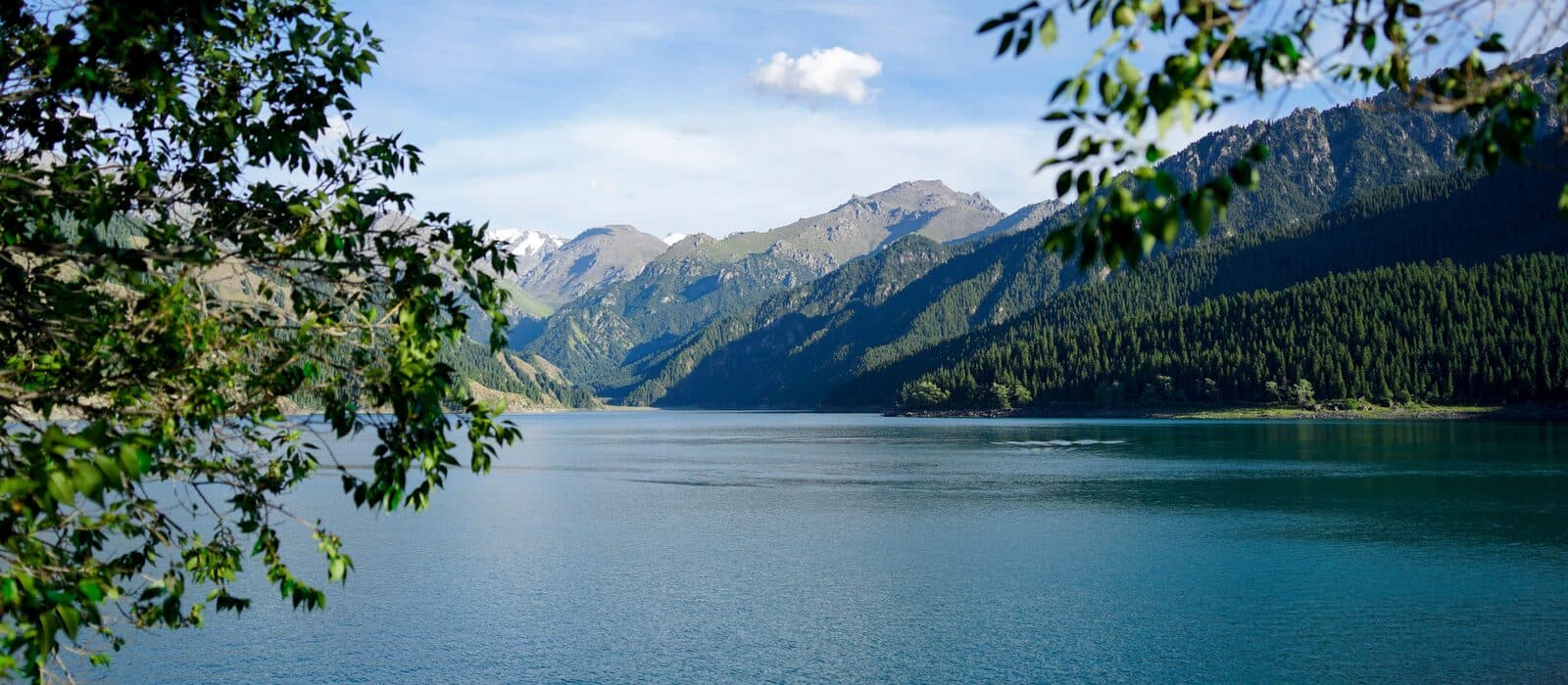 An alpine lake ringed by snow peaks and dense forest