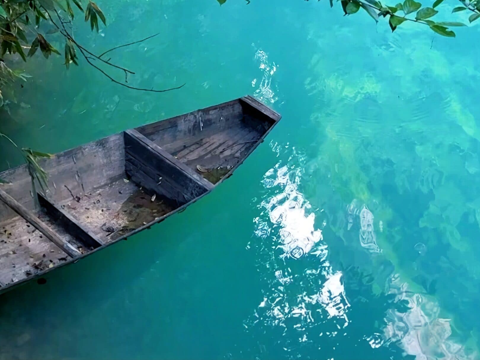 Wooden boat moored on clear green water below overhanging branches