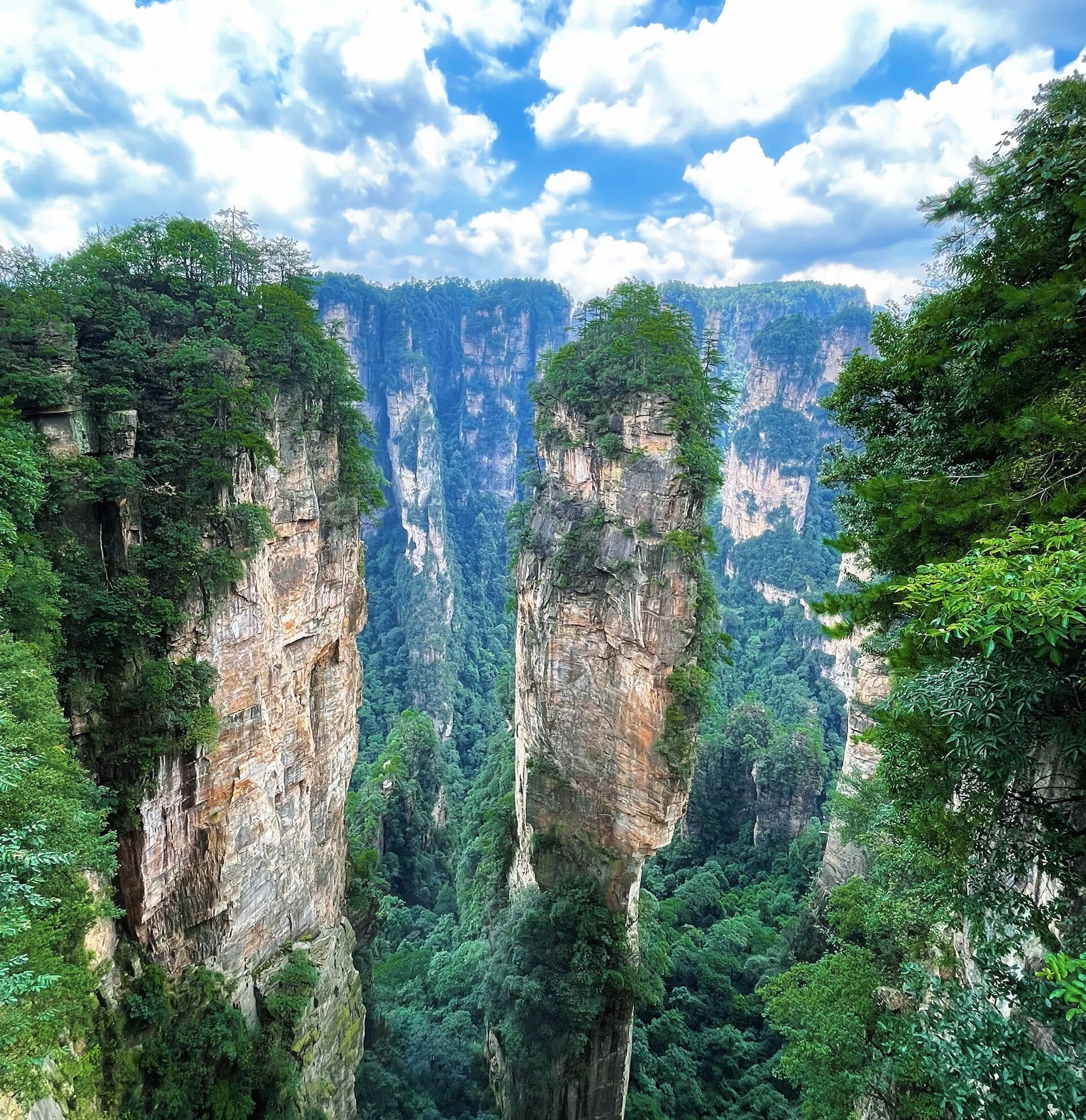 Green sandstone pillars topped with trees under a bright sky