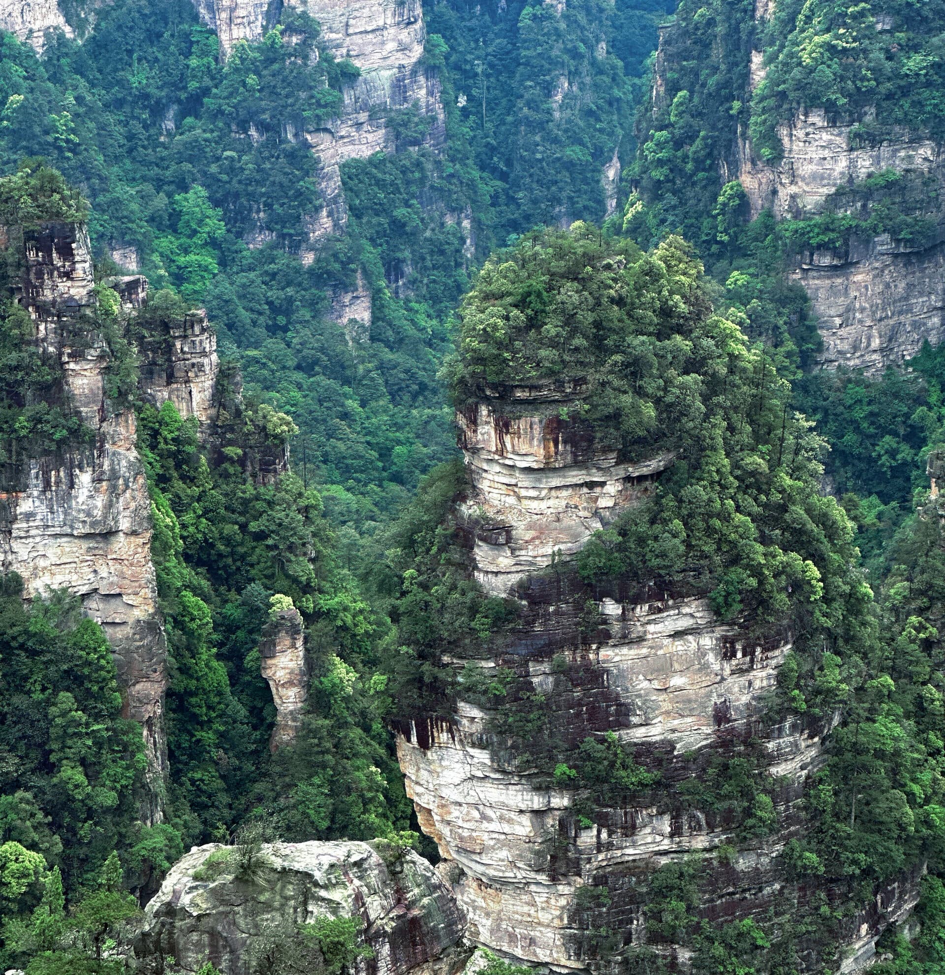 Layered sandstone peaks rising into the mist