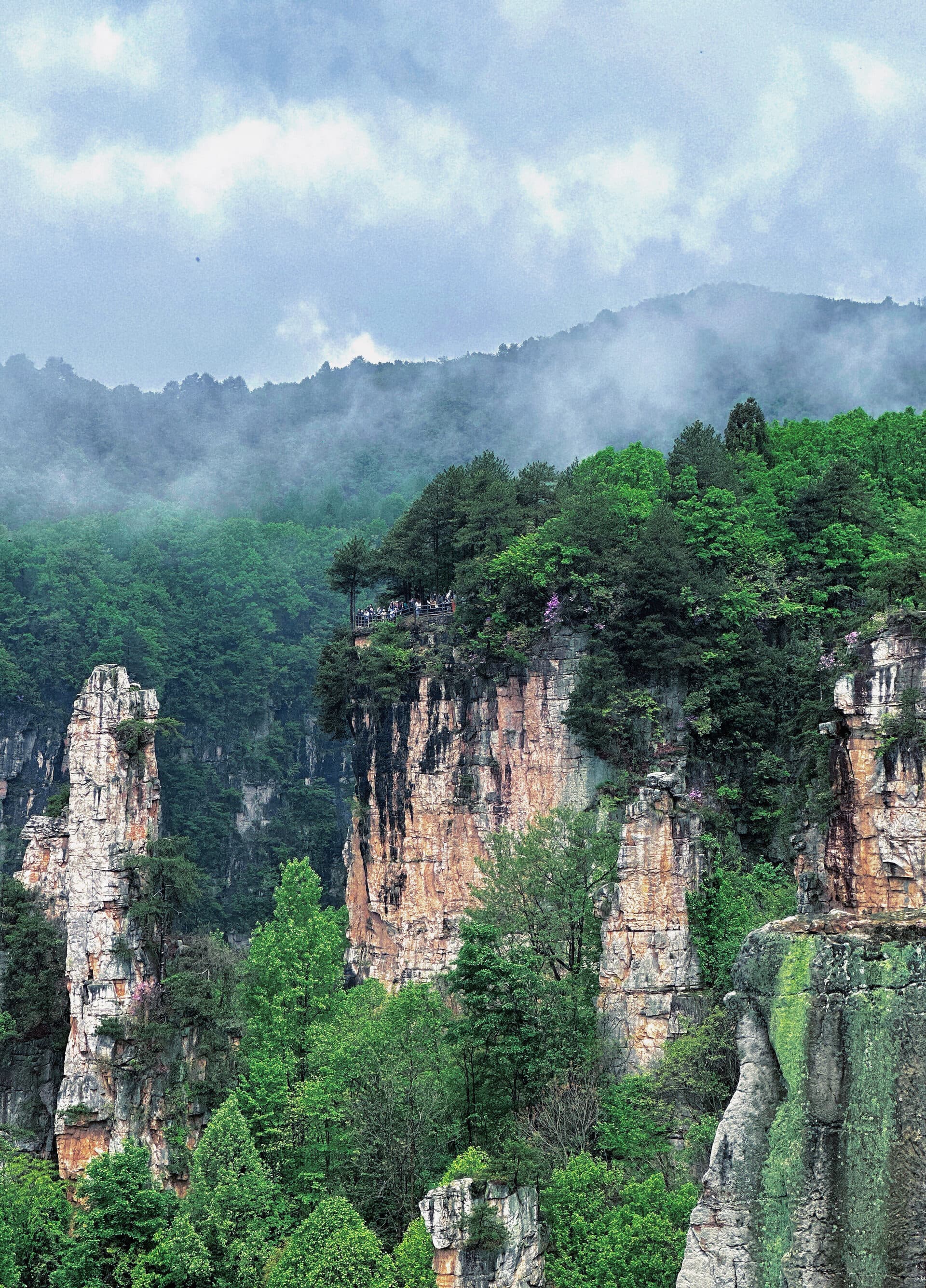 Misted forest slopes with distant pillar peaks