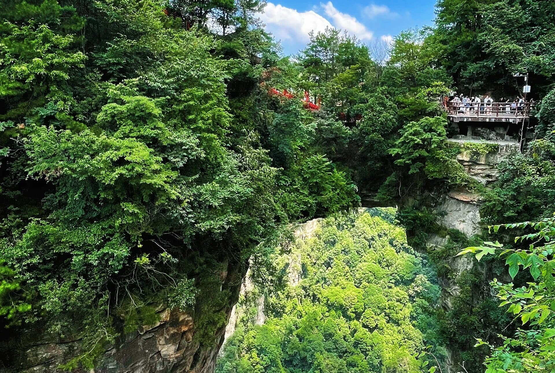 Green cliffside walkway with a viewing platform above the valley