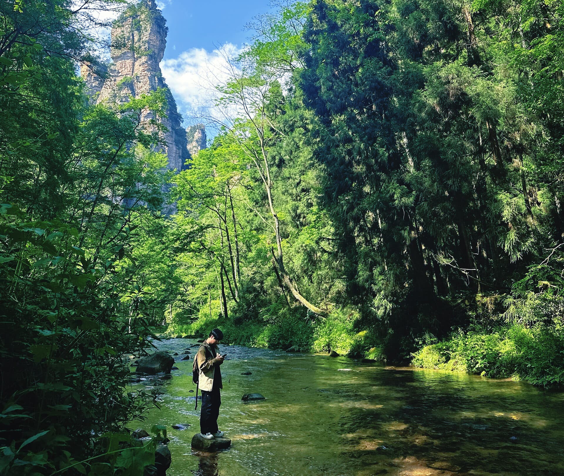 Visitor standing in a shallow stream below forested cliffs