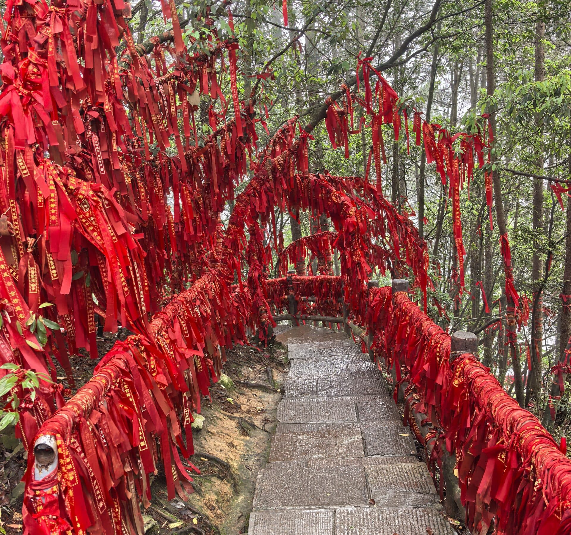 Forest trail lined with a railing tied with red ribbons