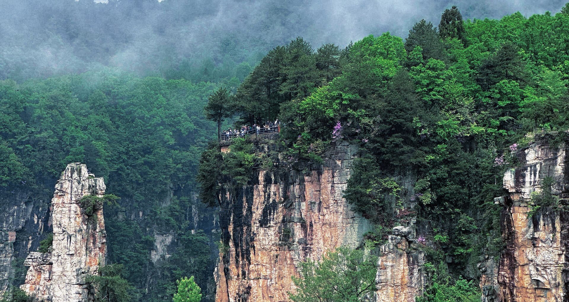 Misty forest and sandstone pillars above the valley
