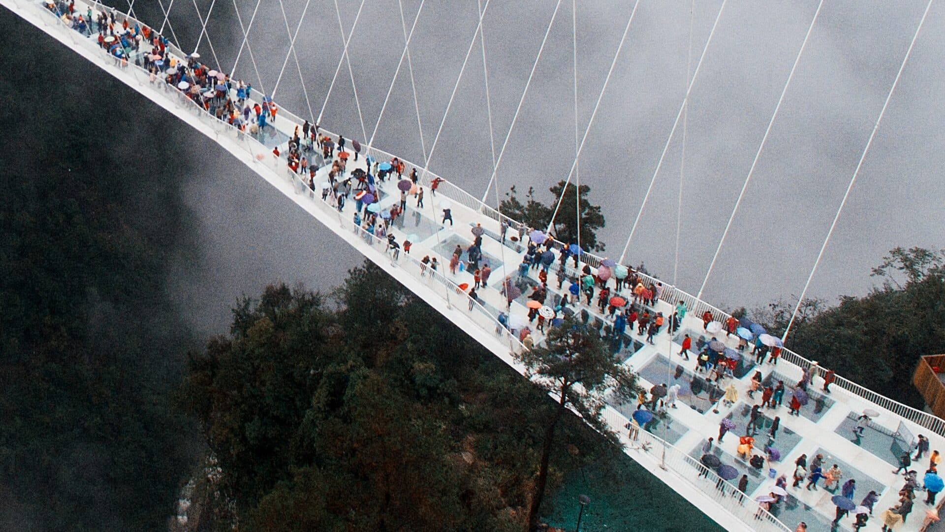 Visitors walking the glass suspension bridge high above the Grand Canyon