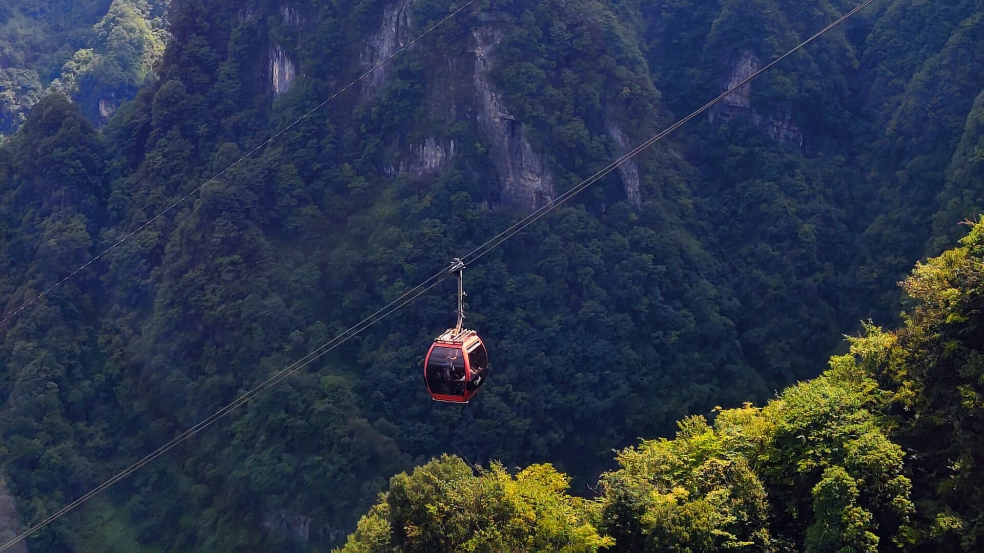 Red cable car cabin suspended on cables above a forested gorge
