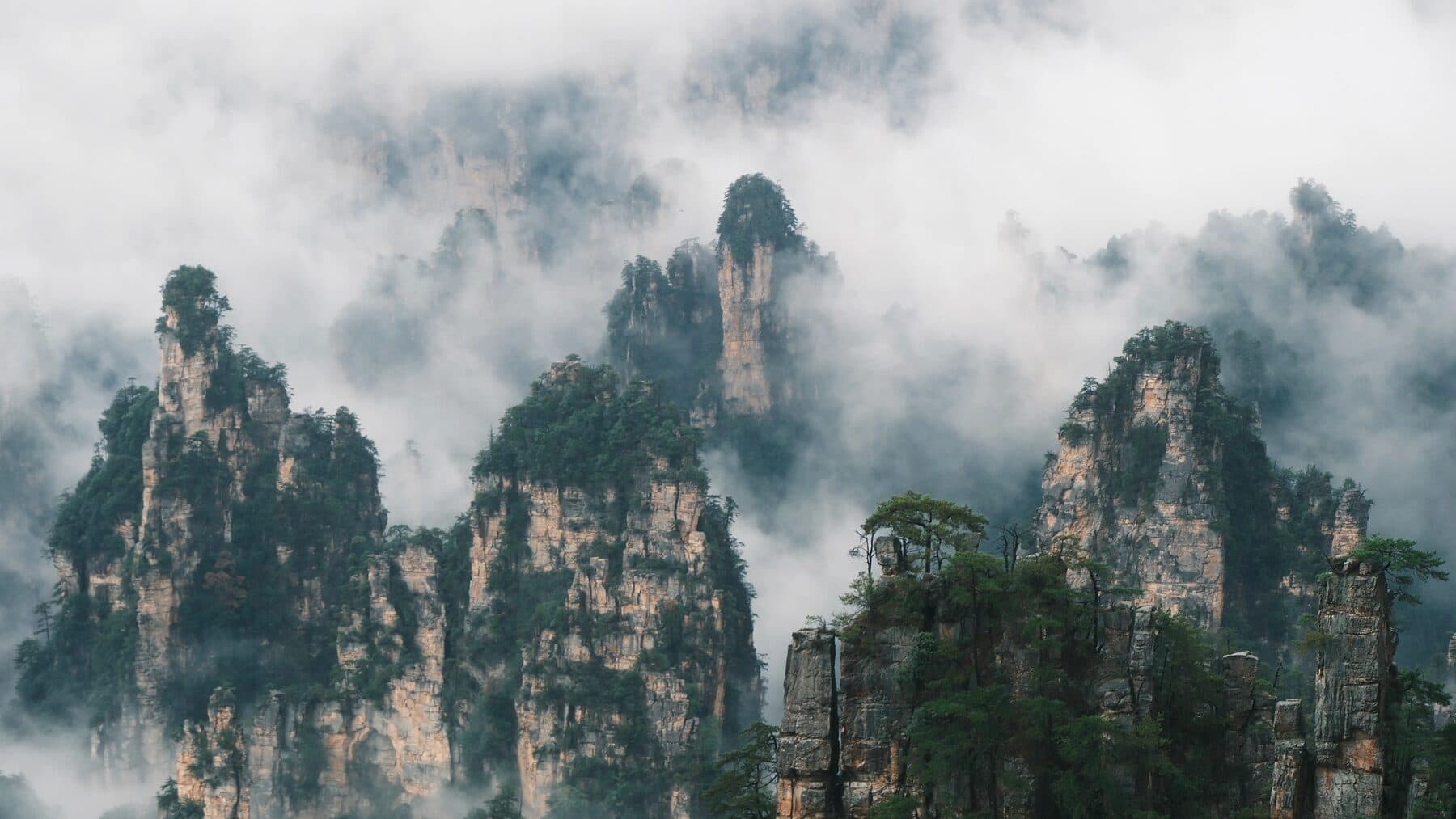 Mist-covered sandstone pillars in the Zhangjiajie forest park