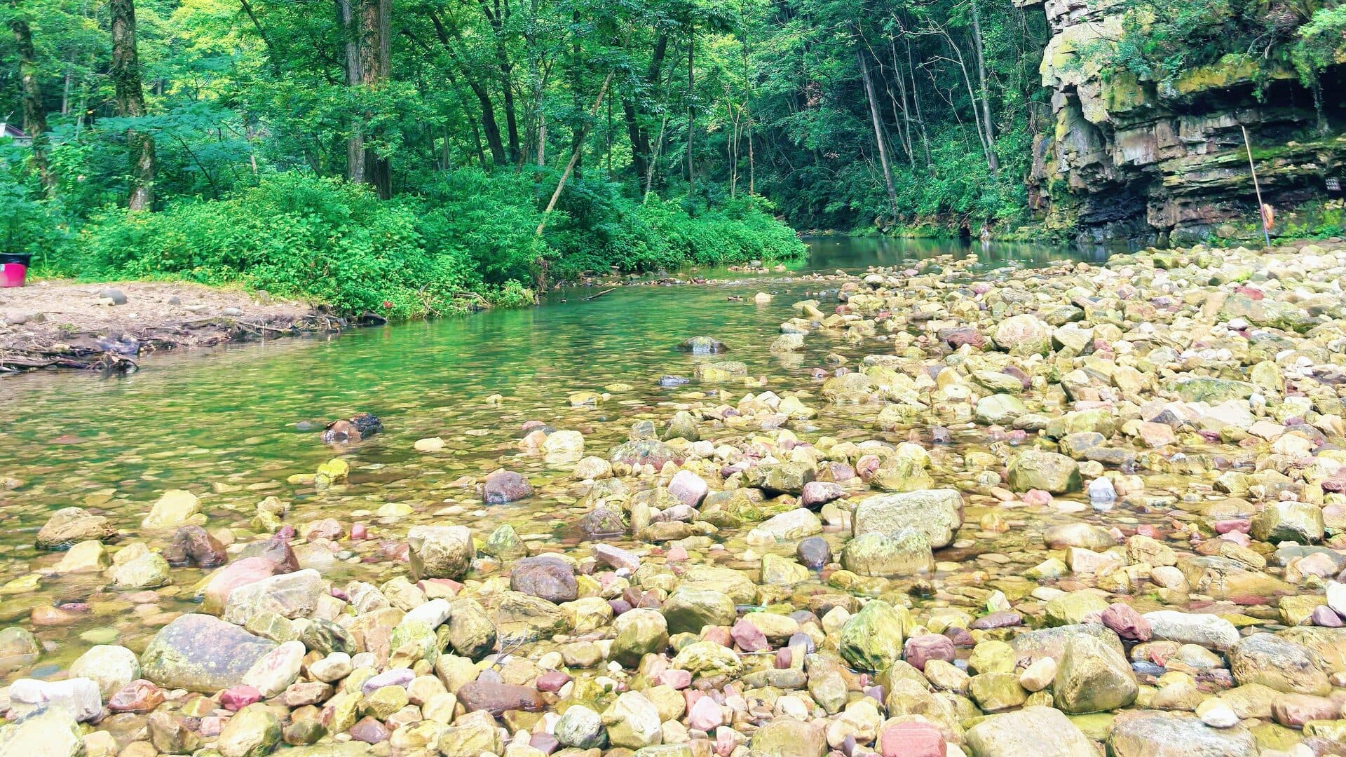 Clear stream running over a cobbled bed in the Zhangjiajie forest