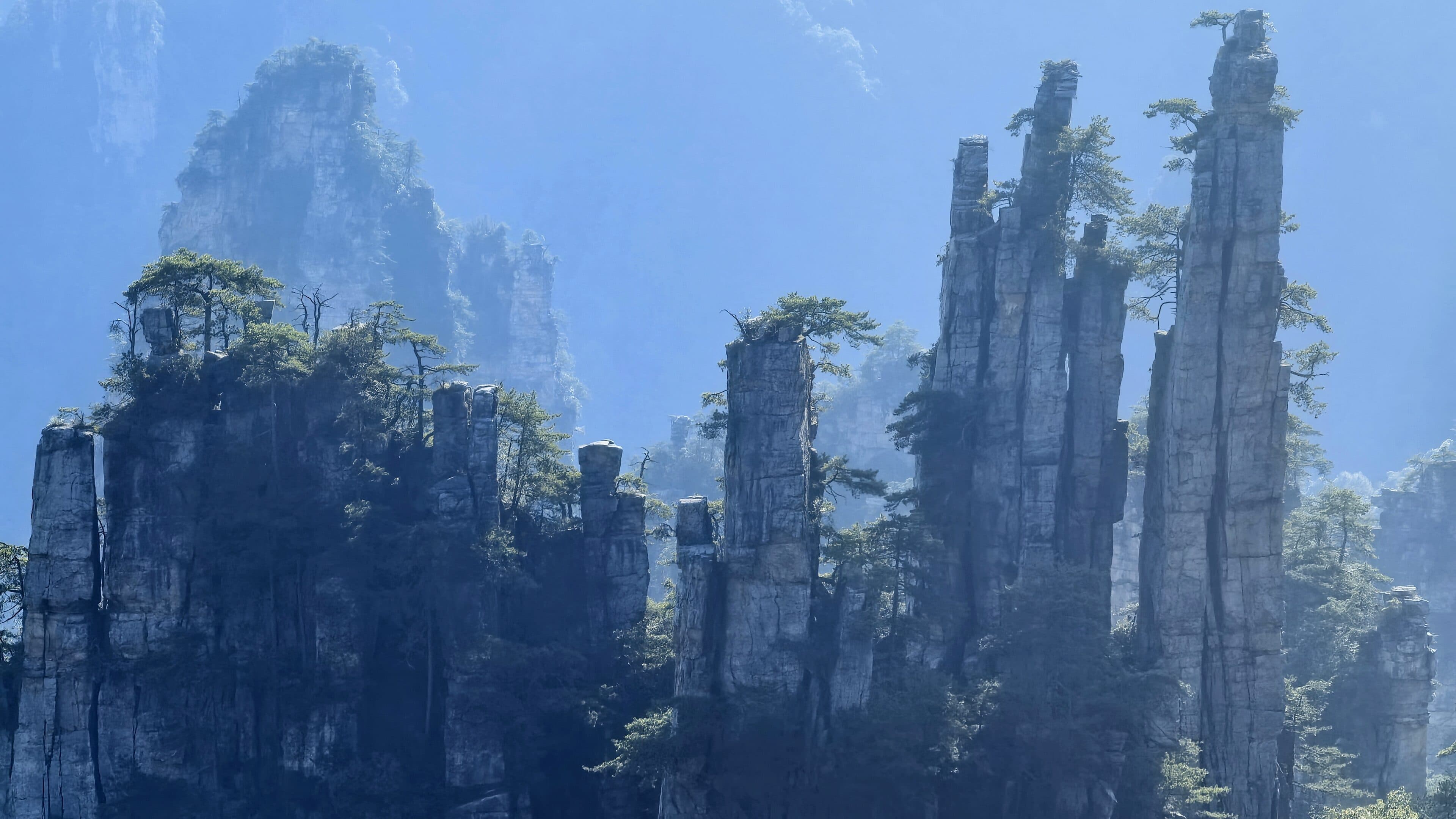 Slender sandstone pillars rising into blue haze in Zhangjiajie