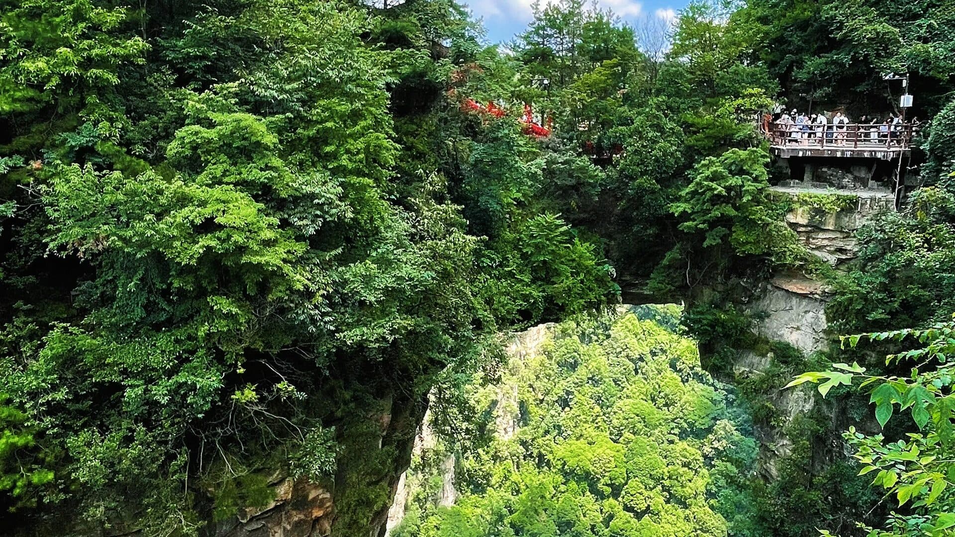 Forested canyon with a cliffside viewing platform
