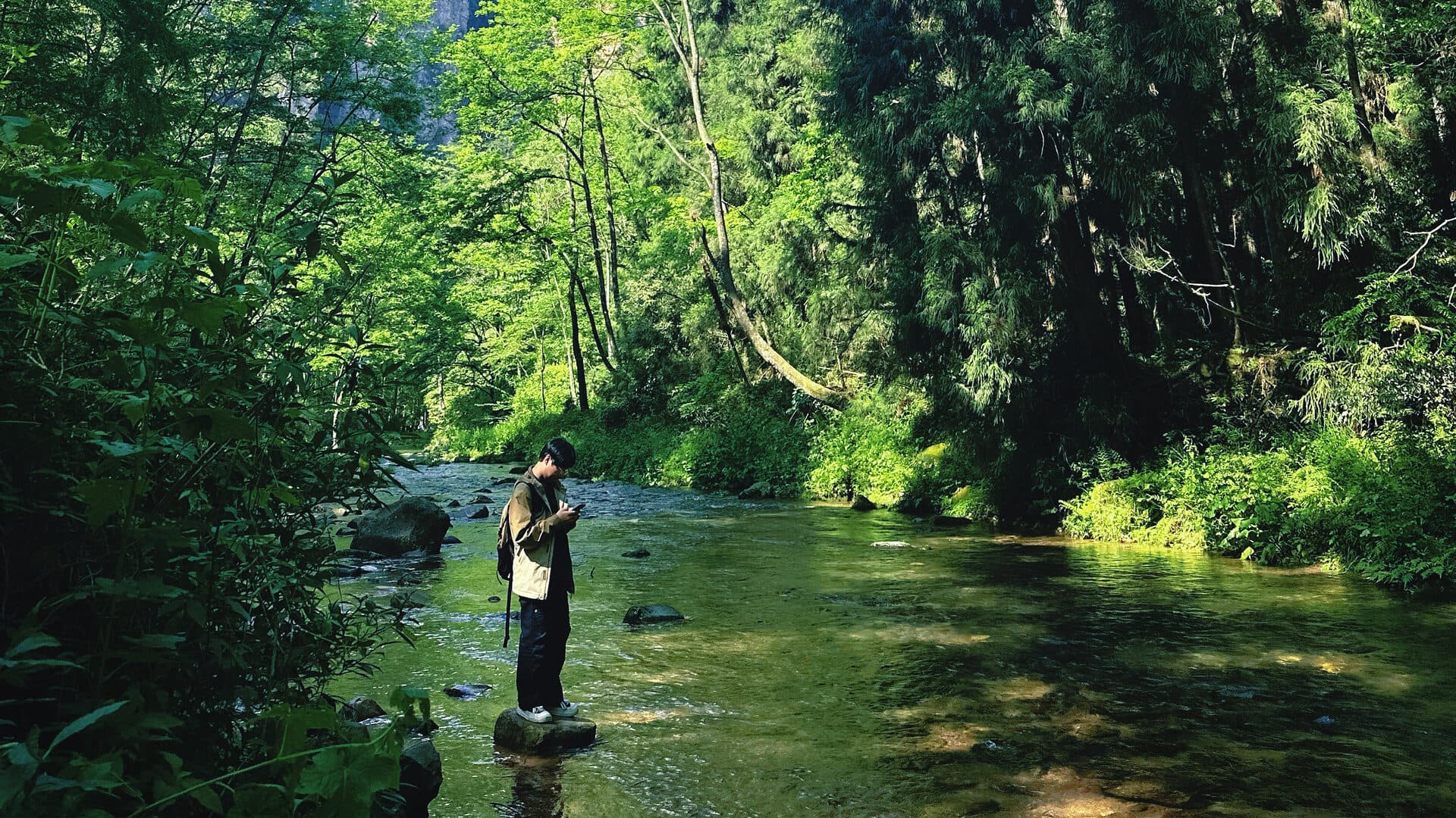 Visitor standing on a rock in the clear stream of the forested valley