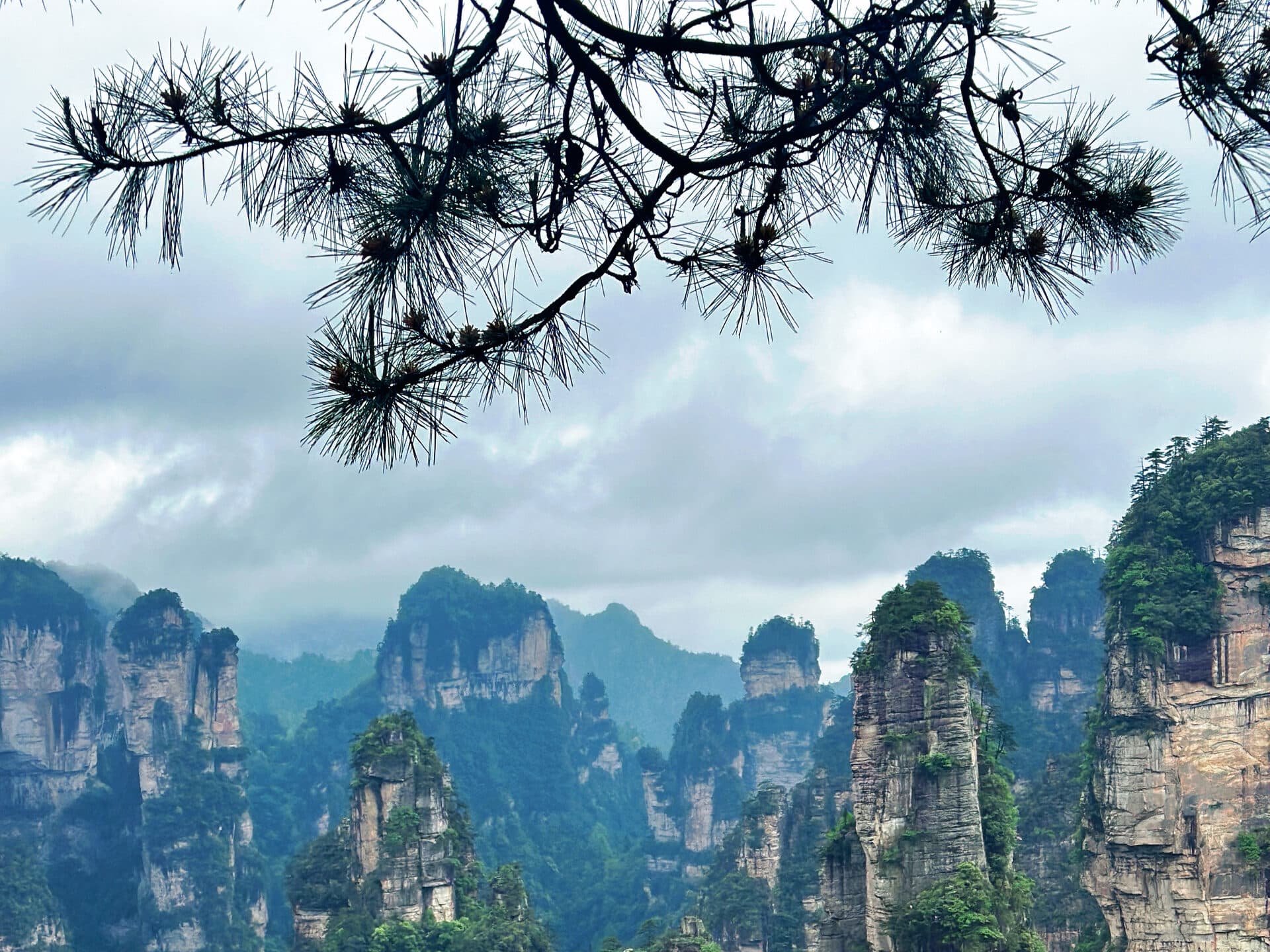 Vegetation-covered sandstone pillars under an overcast sky