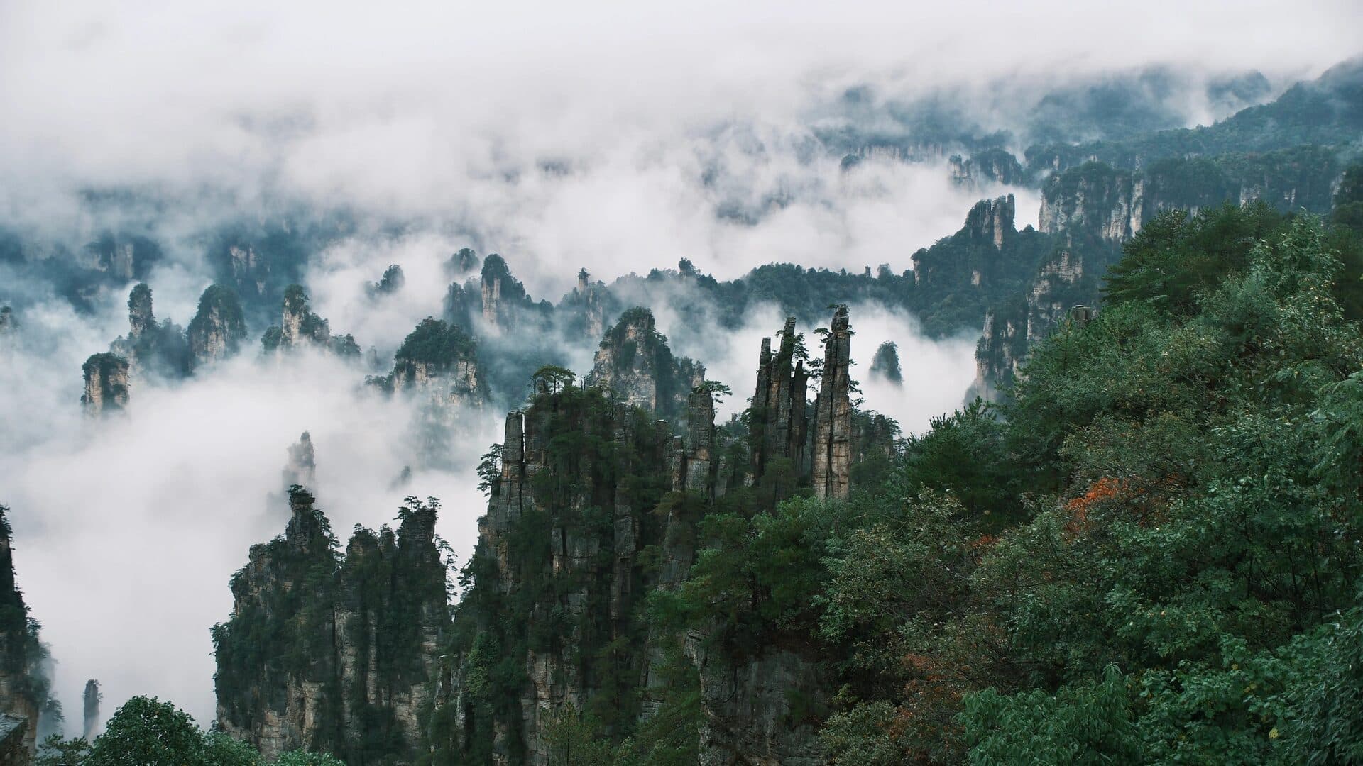 Sandstone pillars rising out of fog with a forested slope