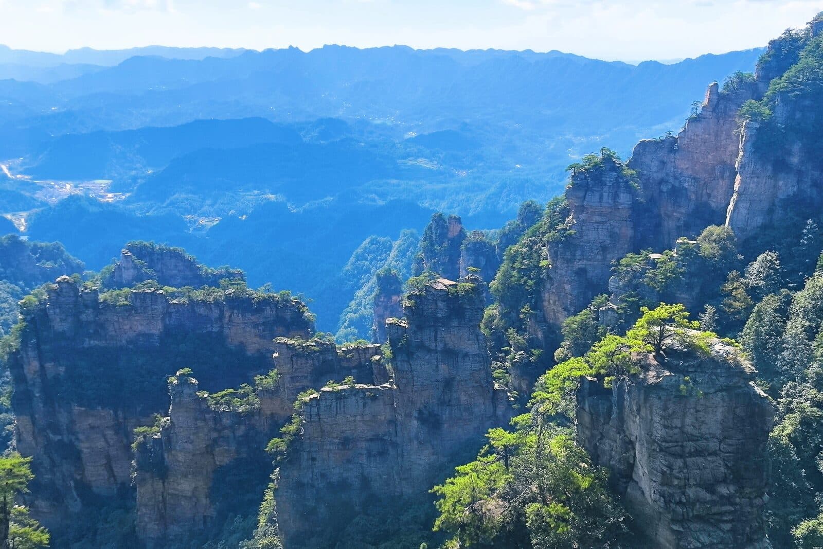 Sandstone pillars rising through blue mist, with green growth on the pillar tops